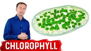 9 Proven Benefits of Chlorophyll [upl. by Llenad]