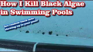 Tips for Swimming Pool Black Algae Removal [upl. by Ezitram266]