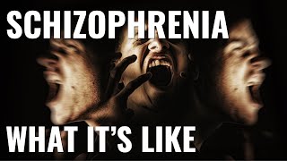 What its like to have schizophrenia [upl. by Nicoline]