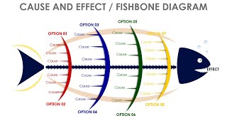 Fishbone diagram slide in PowerPoint [upl. by Noiek113]