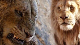 Mufasa Meet to Scar Scene  THE LION KING  Movie Scene 2019 [upl. by Kellyann]