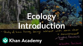 Ecology introduction  Ecology  Khan Academy [upl. by Nibbs]