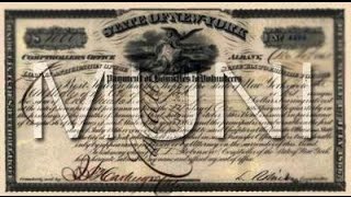 What are Municipal Bonds [upl. by Nnaaihtnyc29]