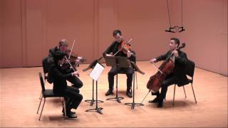 Haydn  String Quartet Op 33 No 3 quotThe Birdquot [upl. by Sabas943]