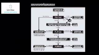 Score de Tal y Protocolo de Hospitalización abreviada SBO [upl. by Yatnahc]