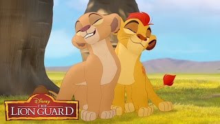 The Lion Guard quotHakuna Matataquot Song From The Lion King 🎶  disneyjr [upl. by Trygve]