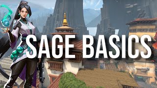 Sage Haven Guide  Beginners Guide [upl. by Ley]