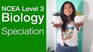 Speciation  NCEA Level 3 Biology Strategy Video  StudyTime NZ [upl. by Yatnahs]