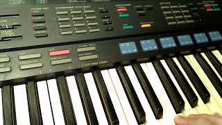 Yamaha PSR47 sound and styles demonstration HiQ sound [upl. by Itagaki]