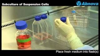 Subculture of Suspension Cells [upl. by Belloir]