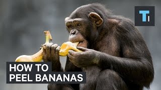 How to peel bananas [upl. by Ettenahc]