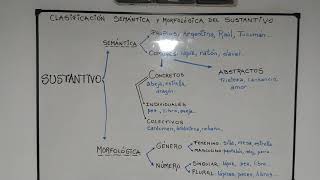 Clasificación semántica y morfológica del sustantivo [upl. by Derej379]