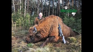 Jagd auf Wisent in Weißrussland [upl. by Hewart381]