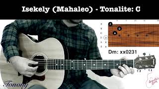 Isekely Mahaleo  Malagasy Guitar Tutorial [upl. by Hannus436]