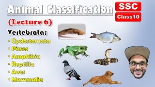 Animal Classification Lecture 6  Sub phylum VertebrataAll Classes  Class 10  SSC  state board [upl. by Enihpad]