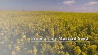 From a Tiny Mustard Seed [upl. by Berlyn]