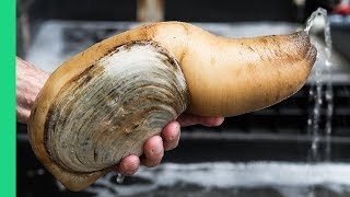 Exotic CHINESE FOOD Feast in Guangzhou 250 Snake Geoduck Sashimi and Sea Cucumber [upl. by Fulton]