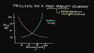 Pricing in a FreeMarket Economy [upl. by Marlyn]