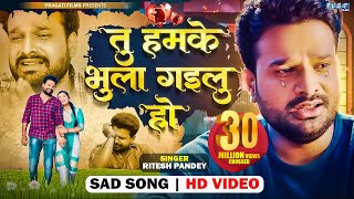 VIDEO तू हमके भुला गइलू हो  Ritesh Pandey का दर्द भरा गीत  Tu Humke Bhula Gailu Ho  New Sad Song [upl. by Lyrred]