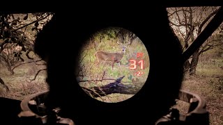 FIRST HUNT with the Garmin Xero X1i Crossbow Sight [upl. by Idleman]