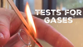 GCSE Science Chemistry 91  Tests for Gases [upl. by Innavoij]