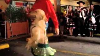 Schlachthofbronx quotChambacuquot Dancing Dog Music Video [upl. by Xel307]