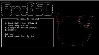 How to Install FreeBSD 111 on VMware Workstation  FreeBSD 111 Tutorial amp Review [upl. by Ardle]