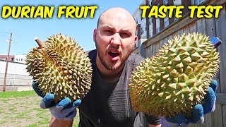 Durian Fruit Taste Test [upl. by Anuska347]