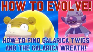 HOW TO EVOLVE GALARIAN SLOWPOKESLOWKING GET GALARICA TWIGSPokemon Sword and Shield Crown Tundra [upl. by Efeek319]