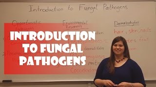 Introduction to Fungal Pathogens [upl. by Redneval]