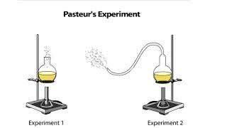 Pasteurs Experiment [upl. by Brina]