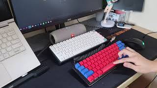 Gateron Silent Red Sound Test STOCK amp Compared to Normal Switches Scuffed  Mechanical Keyboard [upl. by Neelloj]