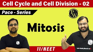 Cell Cycle and Cell Division 02  Mitosis  Class 11  CBSE  NCERT  NEET [upl. by Thant]