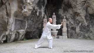 Yi Jin Jing Qigong by Master Wang Zhi Ping 1 movement [upl. by Lyrehs844]