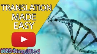 DNA Translation Made Easy [upl. by Viradis]