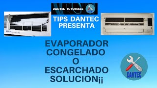 🔵 EVAPORADOR CONGELADO O ESCARCHADO SOLUCIÓN ✅ [upl. by Ahsitauq990]