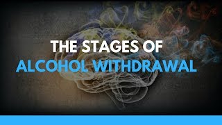 The Stages of Alcohol Withdrawal [upl. by Jamille]