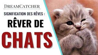 RÊVER DE CHATS  SIGNIFICATION INTERPRÉTATIONS amp SYMBOLISME [upl. by Perlie]