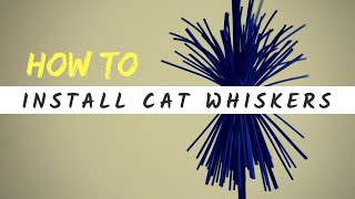 Cat Whiskers Bow String Silencers Install [upl. by Cacilie99]