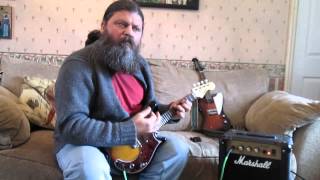 Review of two electric mandolins  Fender mandocaster amp Mandobird [upl. by Aliel]