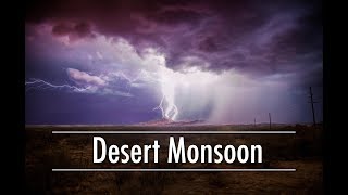 Desert Rain  Monsoons of the Sonoran Desert [upl. by Ocnarfnaig]