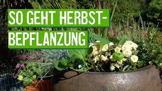 Herbstbepflanzung für Kästen und Kübel [upl. by Damian]