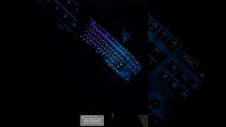 Apex Pro TKL lighting settings [upl. by Kristopher297]