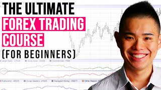 The ULTIMATE Forex Trading Course for Beginners [upl. by Spada629]