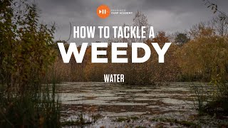 How Adam Penning Tackles a Weedy Lake  Carp Fishing Advice [upl. by Tingley]