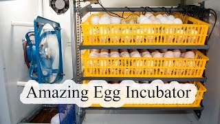 Egg Incubator Review and Operation [upl. by Zannini]