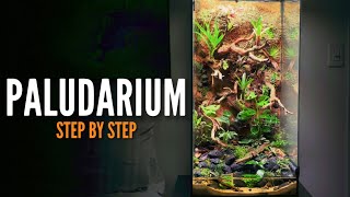 How to build a Paludarium Vivarium [upl. by Linoel]