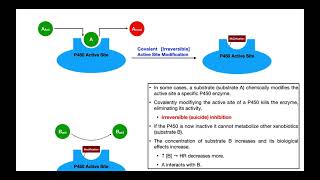 Basics of Drug Interactions EXPLAINED  Inhibition amp Induction [upl. by Aynuat]