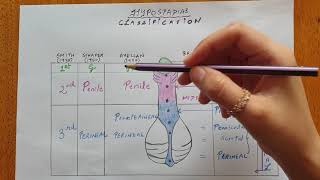 Hypospadias  Classification [upl. by Iak]