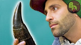 The MOST FAMOUS DINOSAUR Tooth [upl. by Nnyltiac]